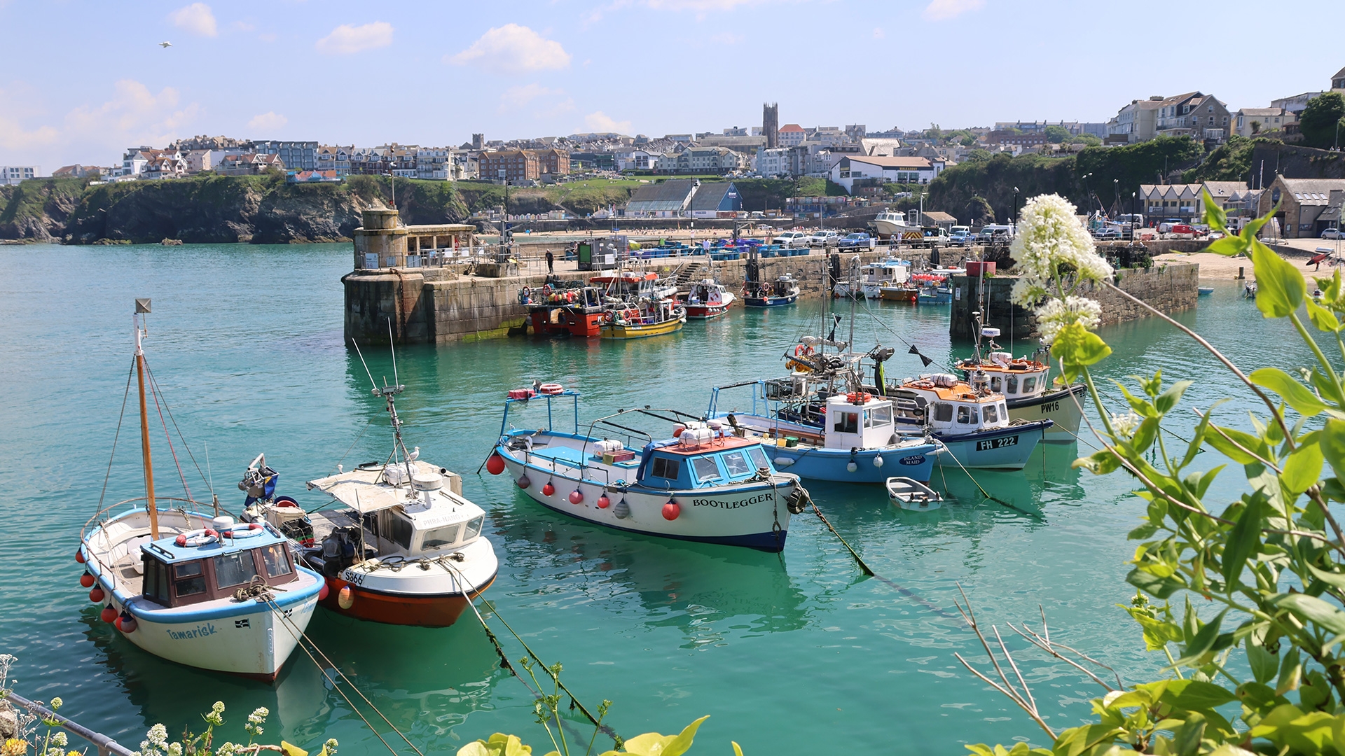 Newquay Food Festival 2025 Brings Tasty Fun to the Coast